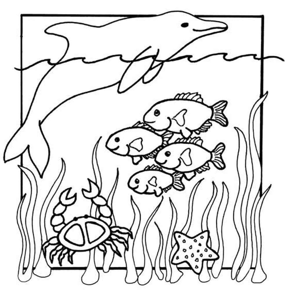 dibujo de animales marinos para colorear