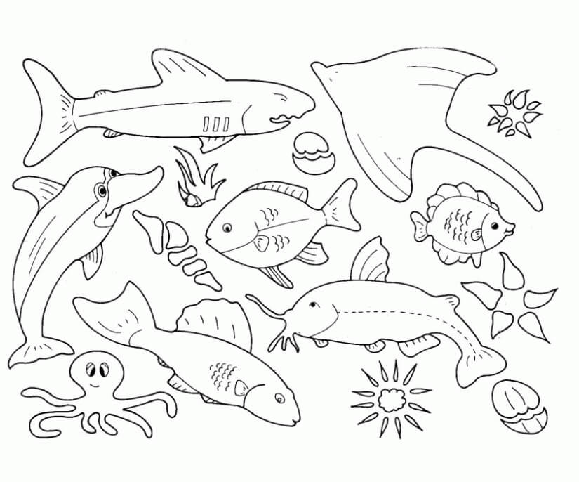 dibujo grandes animales marinos para colorear