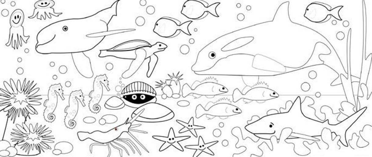 dibujo hermosos animales marinos para colorear
