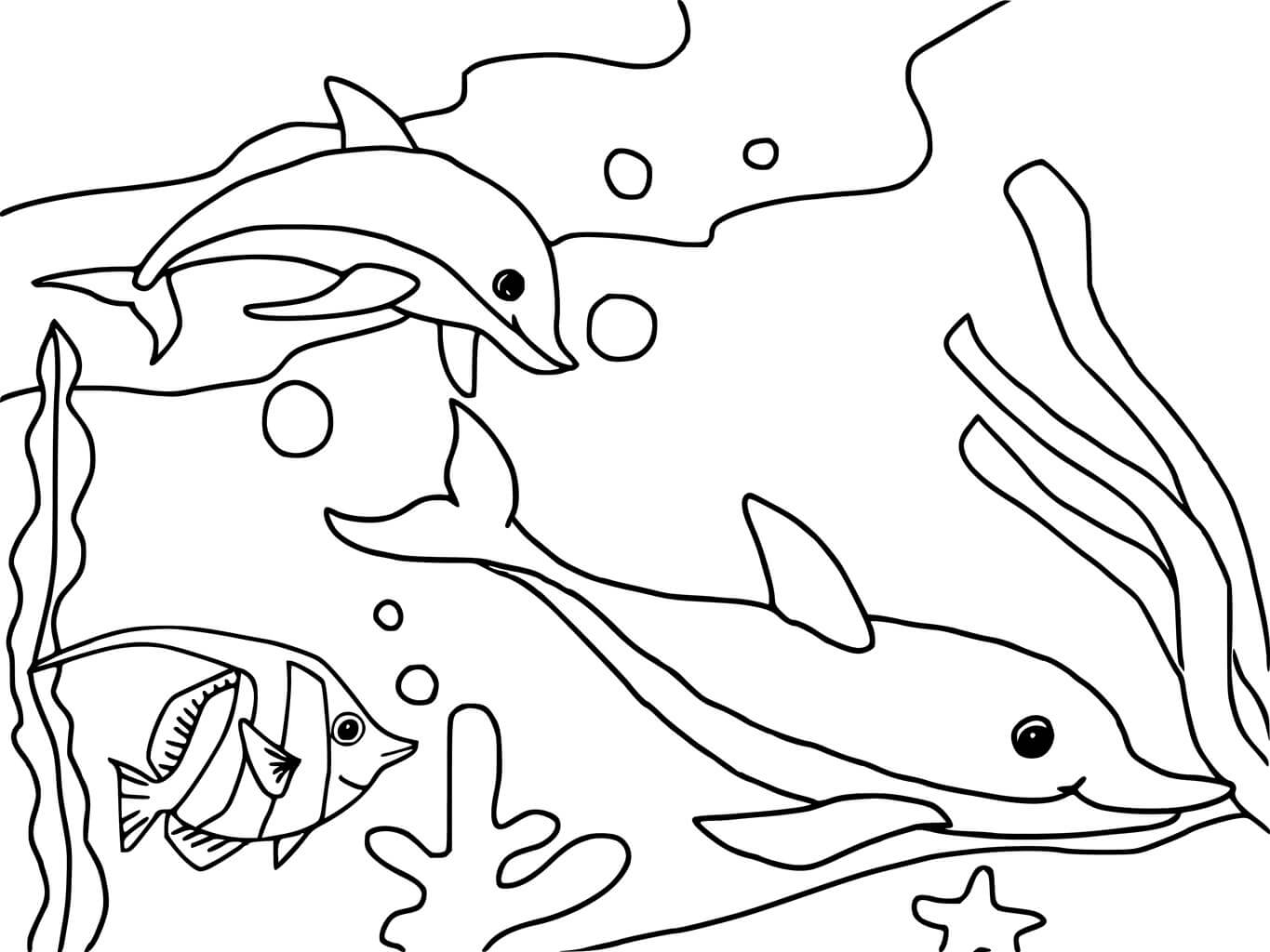 dibujo linda medusa 1 para colorear