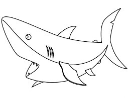dibujo tiburon basico para colorear