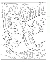 dibujo unicornio de dos mar para colorear