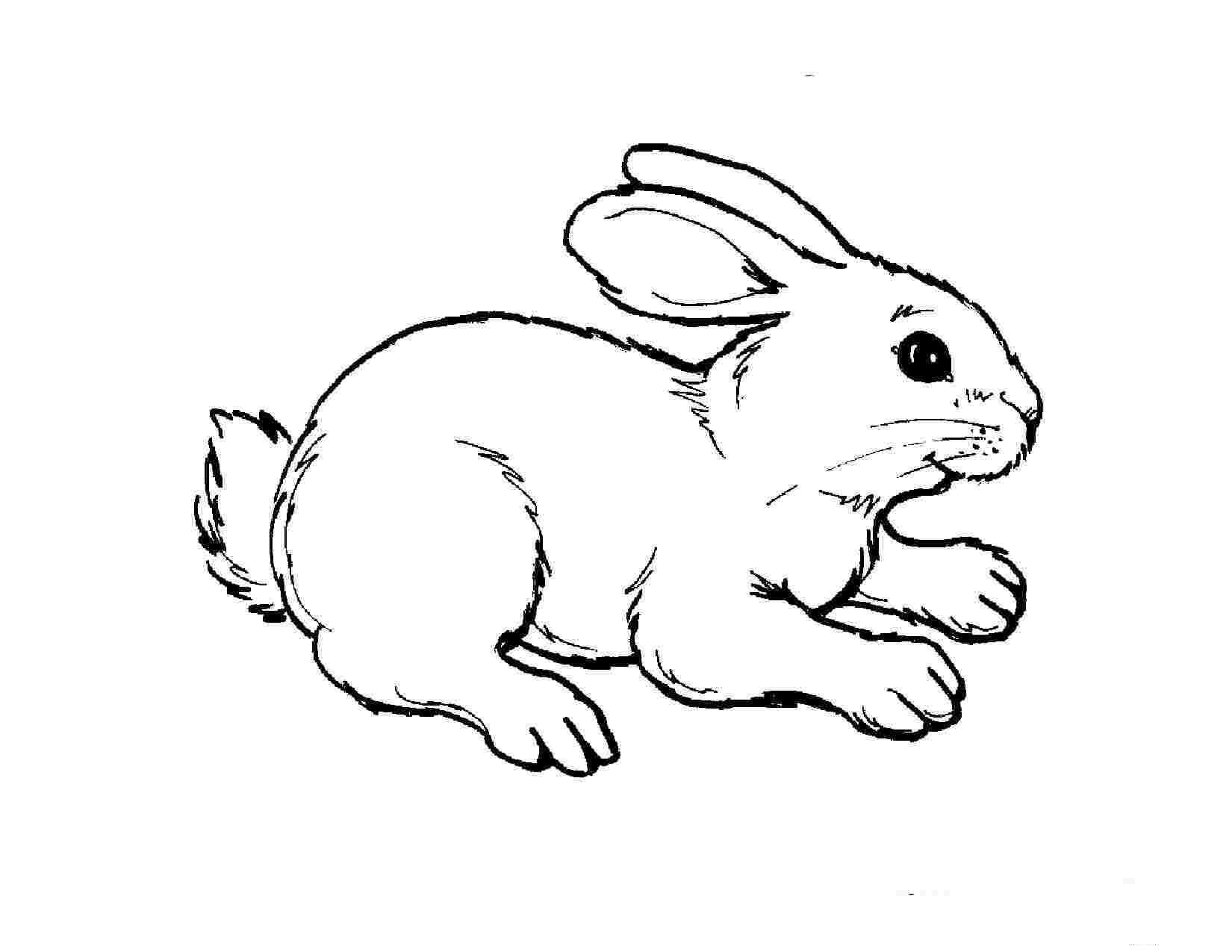 Dibujo de Conejo para Colorear y Imprimir
