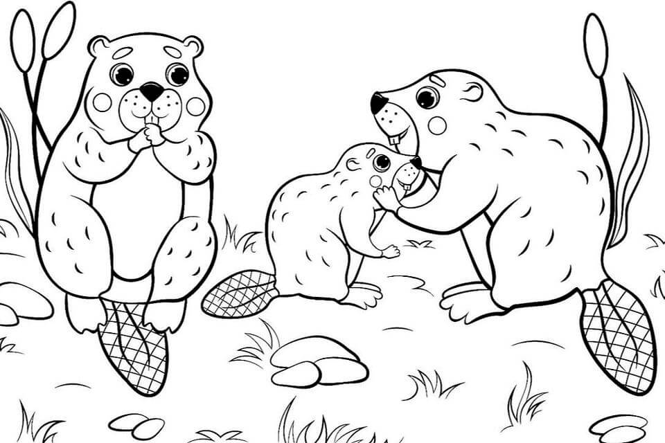 Dibujo de Familia de Ardillas para Colorear y Imprimir