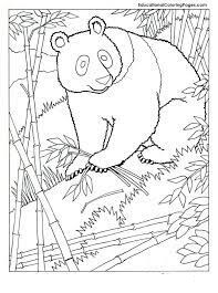 Dibujo de Panda para Colorear y Imprimir