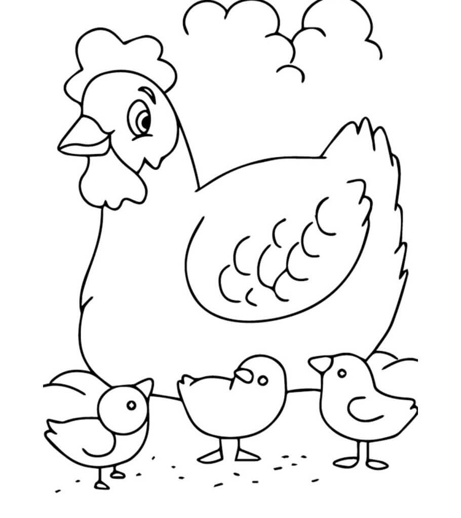 Dibujo de Pollo Familiar para Colorear y Imprimir