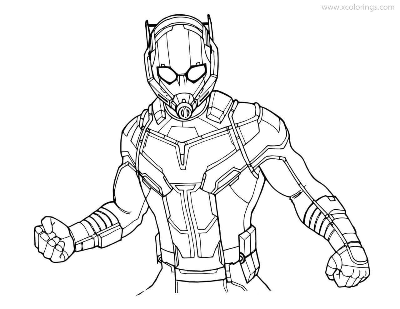 Dibujo de Marvel Hombre Hormiga para Colorear y Imprimir