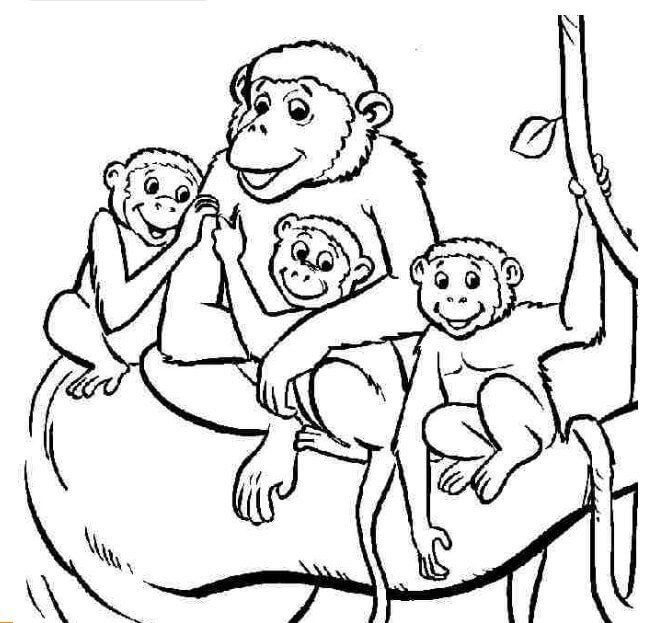 Dibujo de Familia de Simios para Colorear y Imprimir