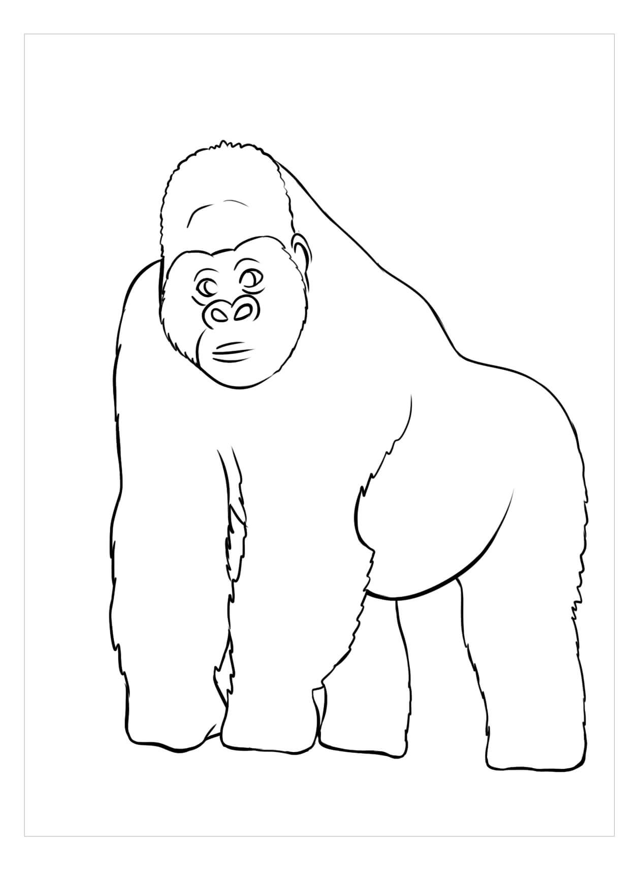 Dibujo de Gran Simio para Colorear y Imprimir