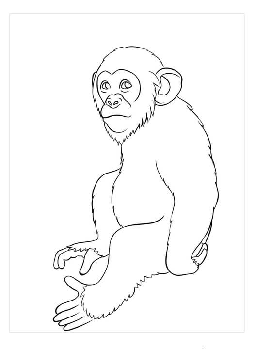Dibujo de Impresionantes Simios para Colorear y Imprimir