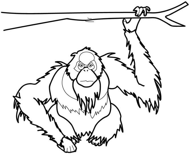 Dibujo de Mono Sin Cola Sosteniendo Una Rama de Árbol para Colorear y Imprimir