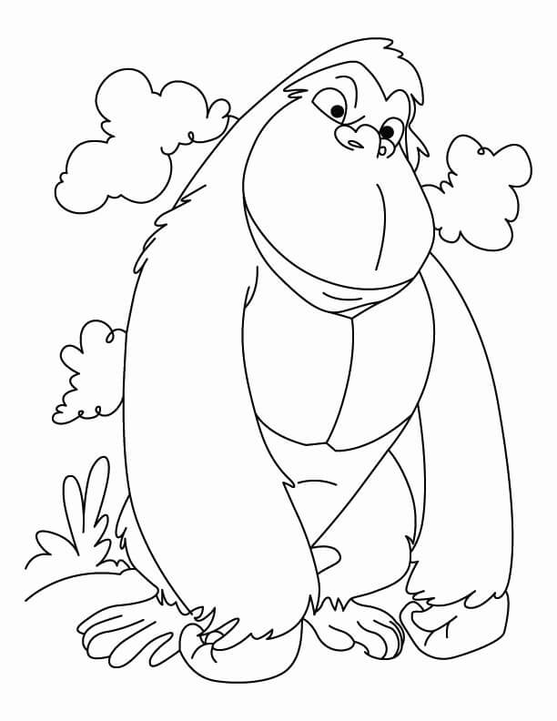 Dibujo de Simio Agradable para Colorear y Imprimir