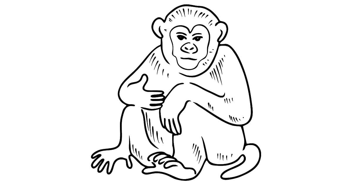 Dibujo de Simio Asombroso para Colorear y Imprimir