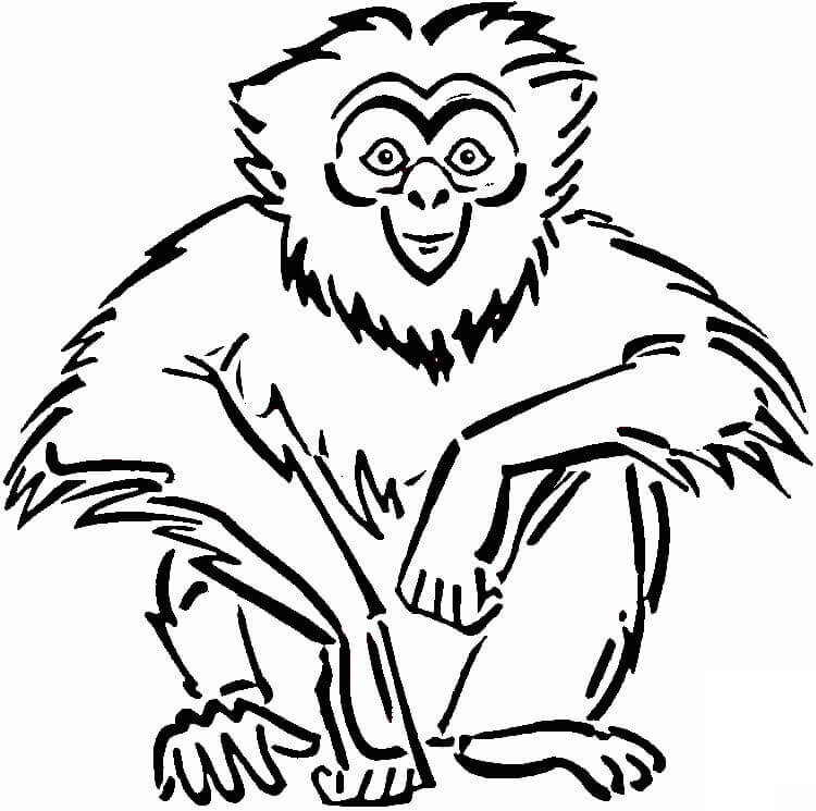 Dibujo de Simio de Dibujo para Colorear y Imprimir