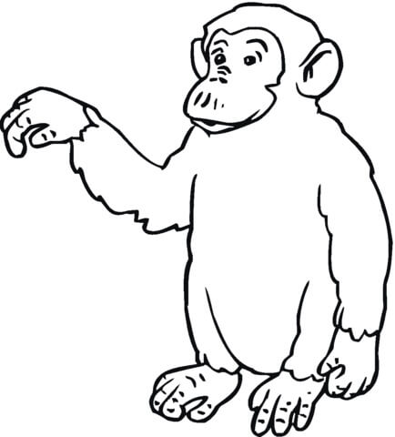 Dibujo de Simio de Pie para Colorear y Imprimir