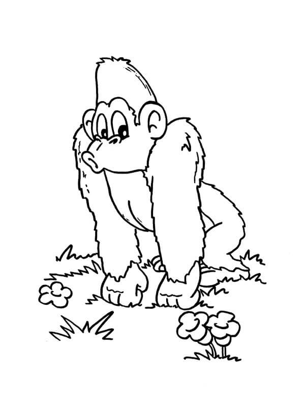 Dibujo de Simio Imprimible para Colorear y Imprimir