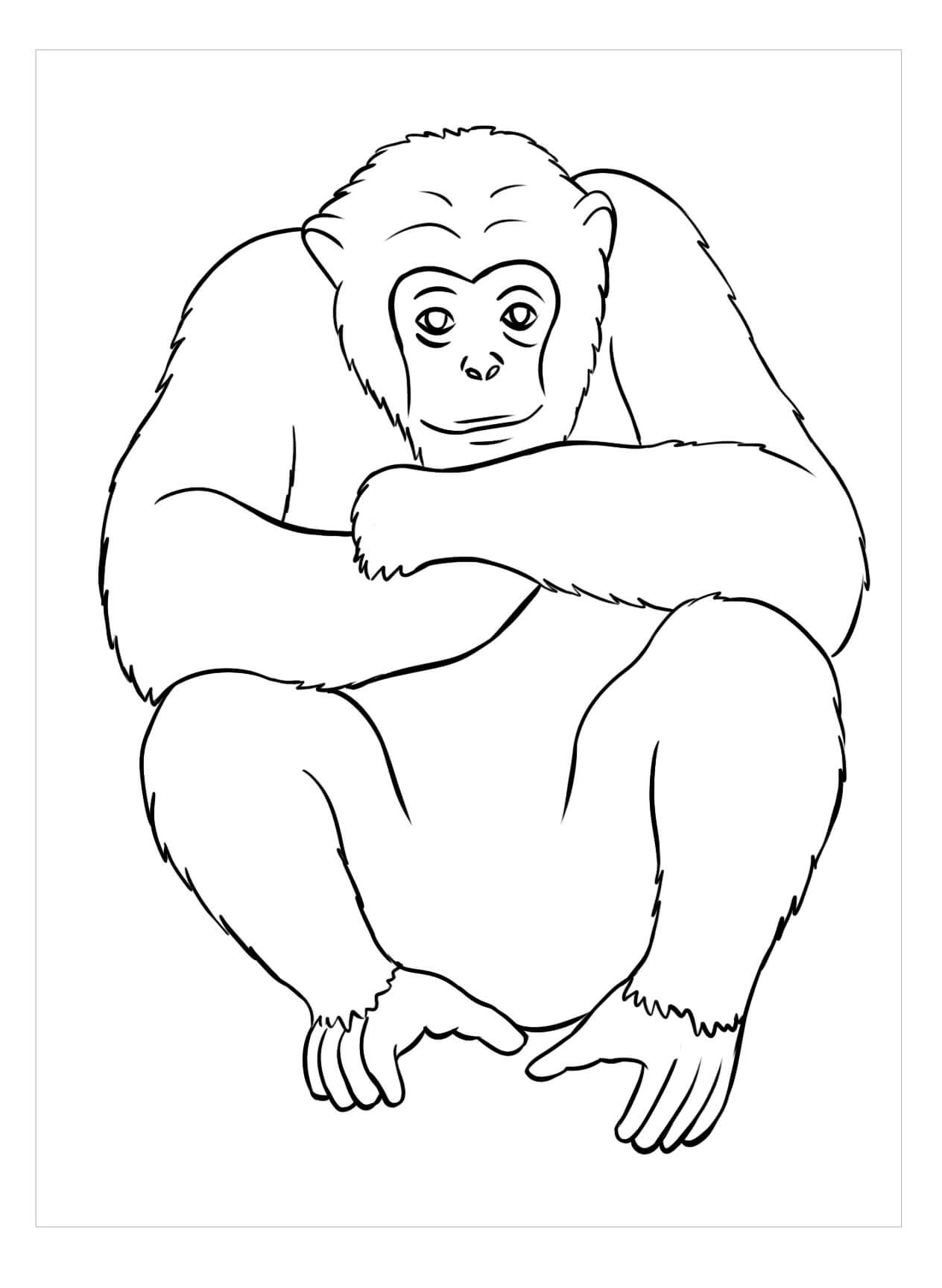 Dibujo de Simio Perfecto para Colorear y Imprimir