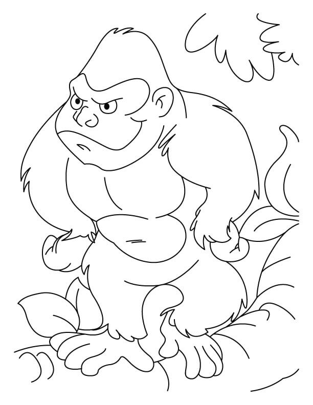 Dibujo de Simios Graciosos para Colorear y Imprimir