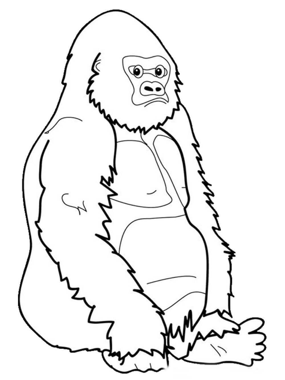 Dibujo de Simios Sentados para Colorear y Imprimir