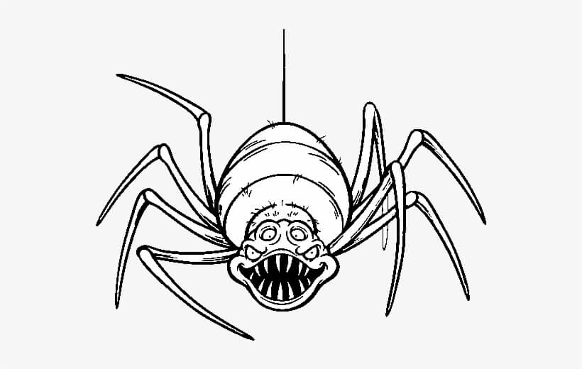 Dibujo de Araña Aterradora para Colorear y Imprimir