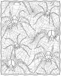 Dibujo de Araña Dura para Colorear y Imprimir