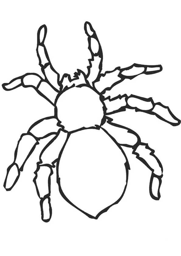 Dibujo de Araña Impresionante para Colorear y Imprimir