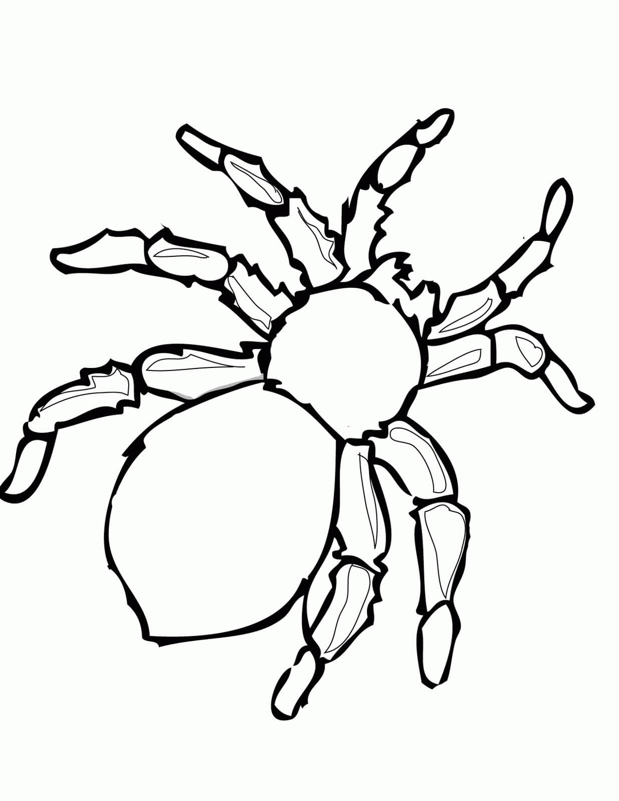 Dibujo de Araña Sencilla para Colorear y Imprimir