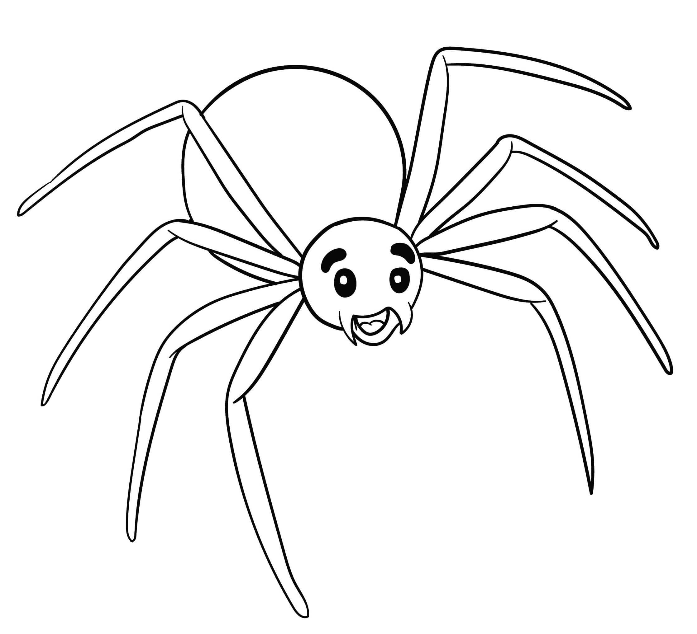 Dibujo de Diversión de Araña para Colorear y Imprimir