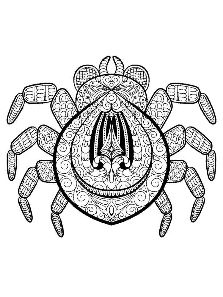 Dibujo de La Araña Es para Adultos para Colorear y Imprimir
