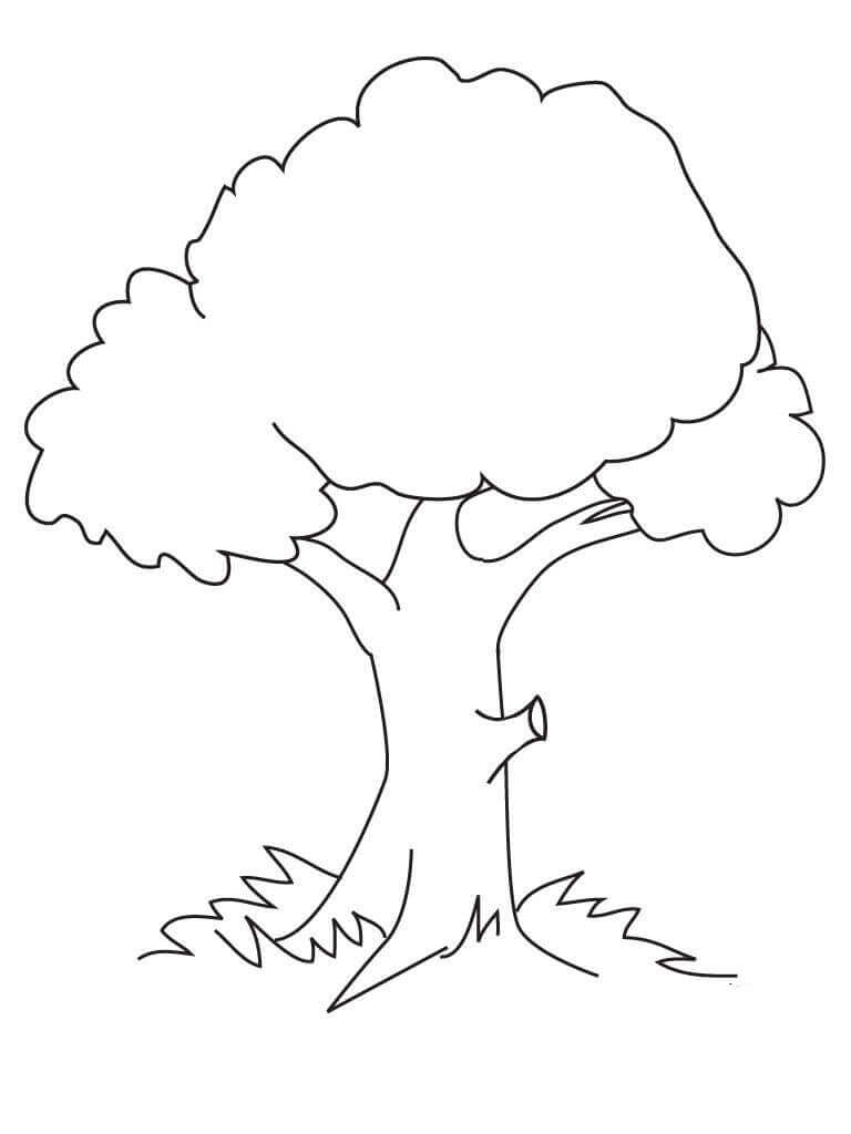 Dibujo de Árbol Normal para Colorear y Imprimir