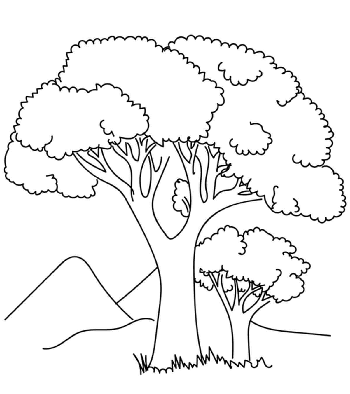 Dibujo de dos Árboles para Colorear y Imprimir