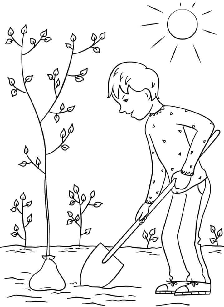 Dibujo de Niño Plantando Un Árbol para Colorear y Imprimir