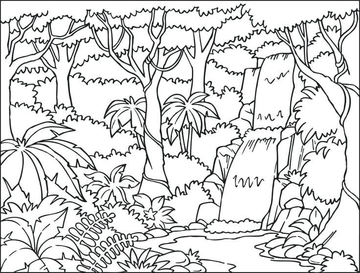 Dibujo de Paisaje Del Bosque Lluvioso para Colorear y Imprimir