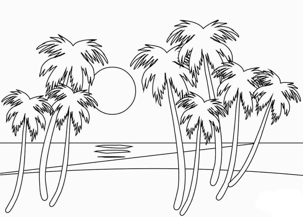 Dibujo de Puesta de Sol y Palmera para Colorear y Imprimir