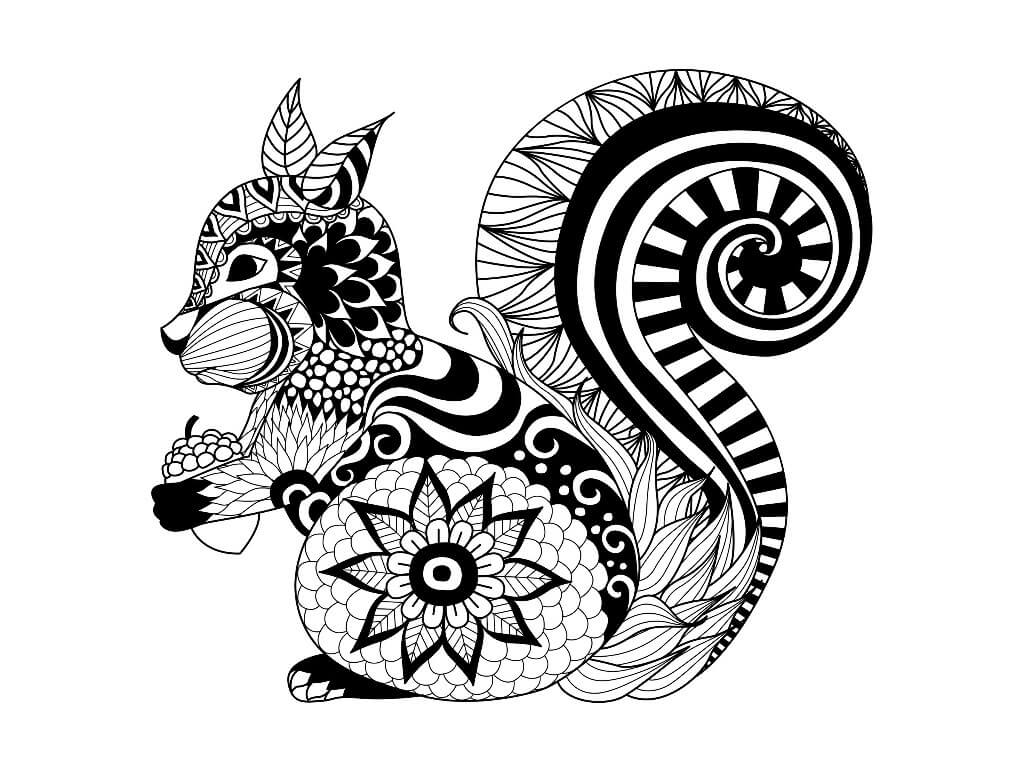 Dibujo de Ardilla Adulto para Colorear y Imprimir