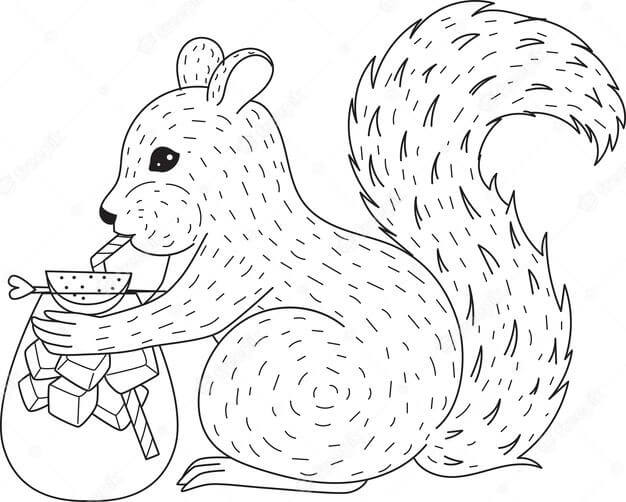 Dibujo de Ardilla Bebiendo Cóctel para Colorear y Imprimir