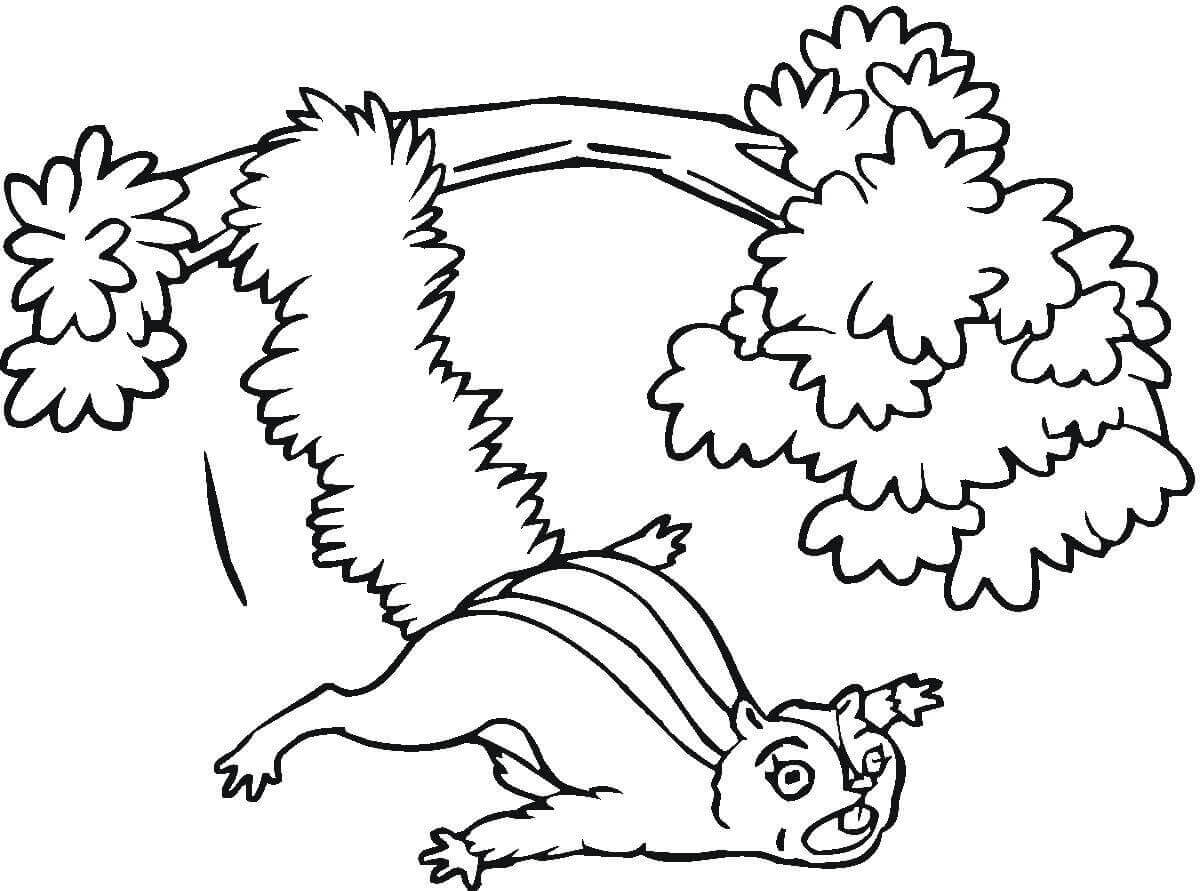 Dibujo de Ardilla Cayendo Del Árbol para Colorear y Imprimir
