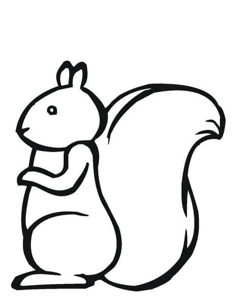 Dibujo de Ardilla Fácil para Colorear y Imprimir