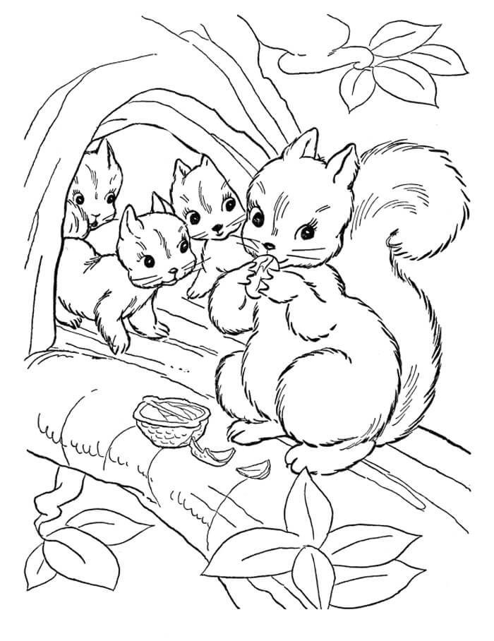 Dibujo de Ardilla Familiar para Colorear y Imprimir
