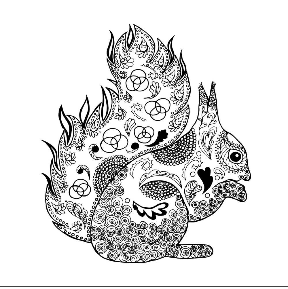Dibujo de Ardilla Imprimible para Colorear y Imprimir