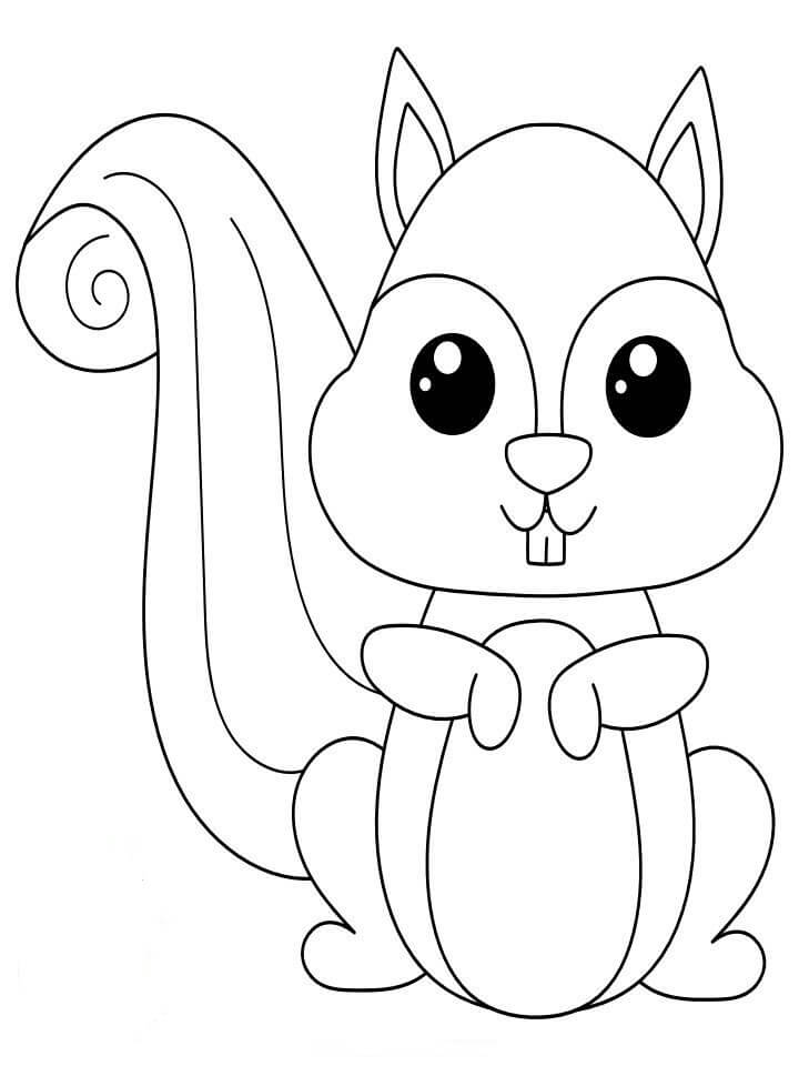 Dibujo de Ardilla Perfecta para Colorear y Imprimir