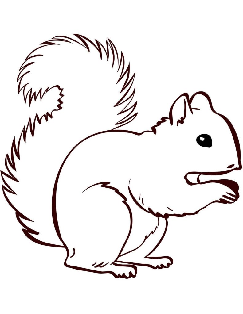 Dibujo de Ardilla Simple para Colorear y Imprimir