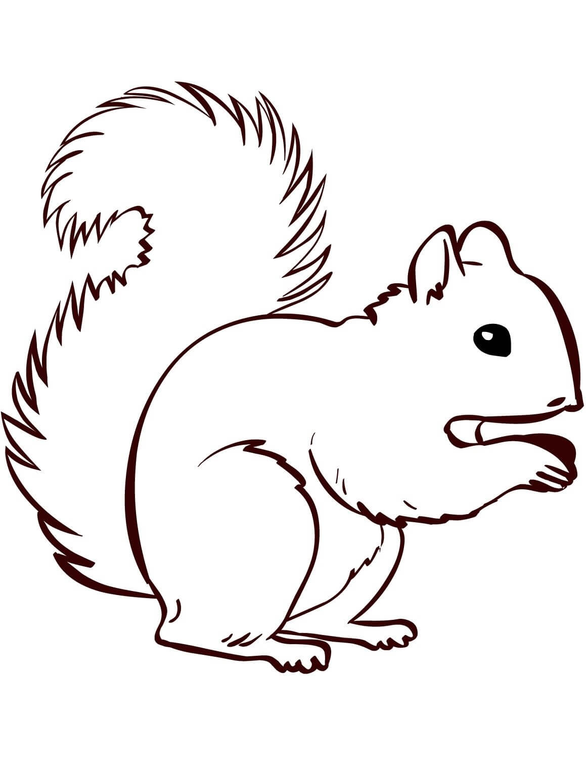 Dibujo de Ardilla Simple para Colorear y Imprimir