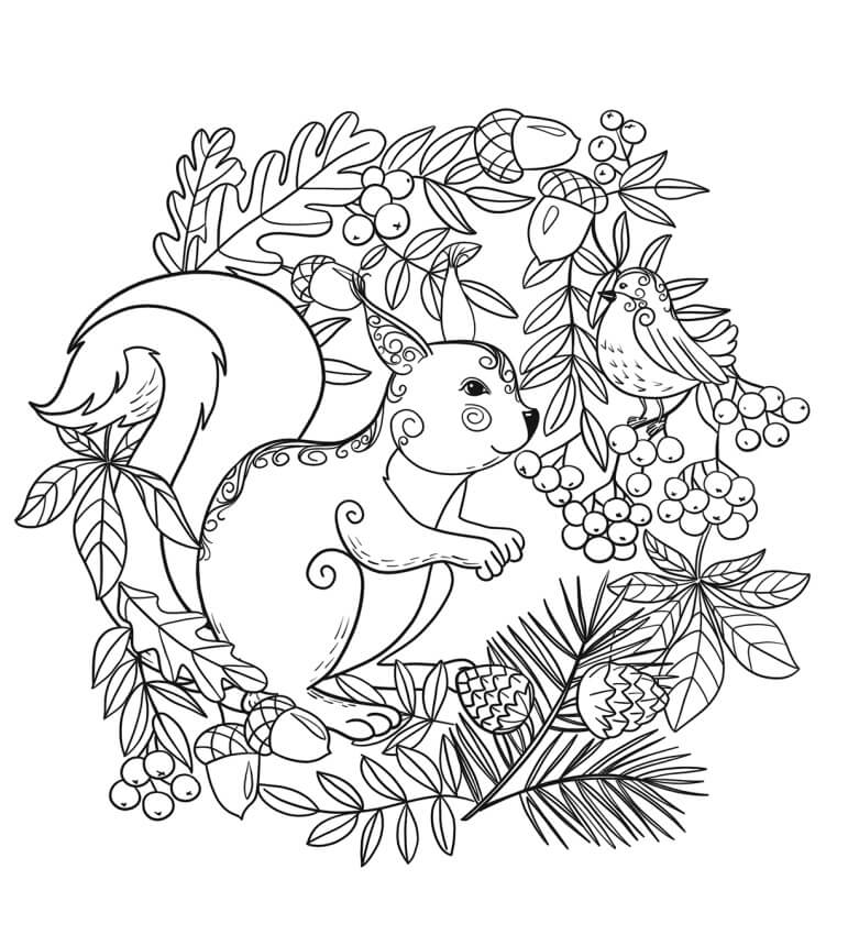 Dibujo de Ardilla y Pájaro Con Hoja para Colorear y Imprimir