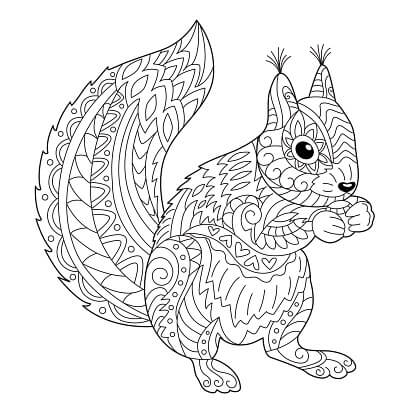 Dibujo de Mándala de Ardilla para Colorear y Imprimir