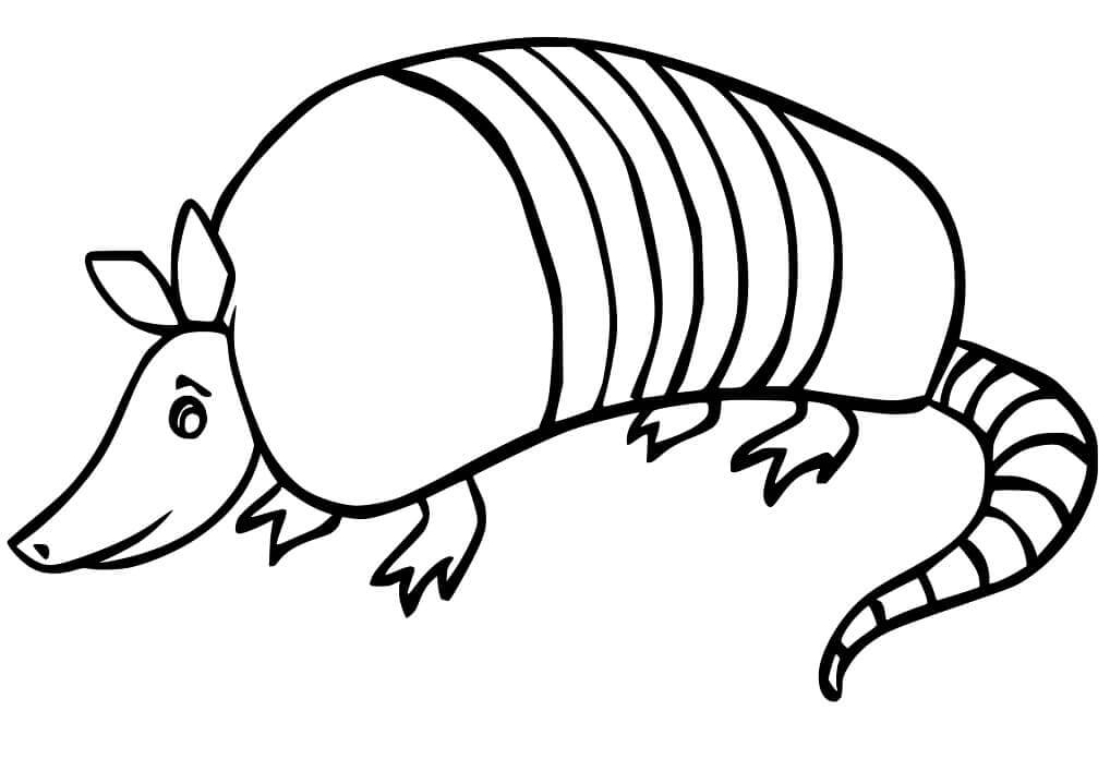 dibujo armadillo 1 para colorear