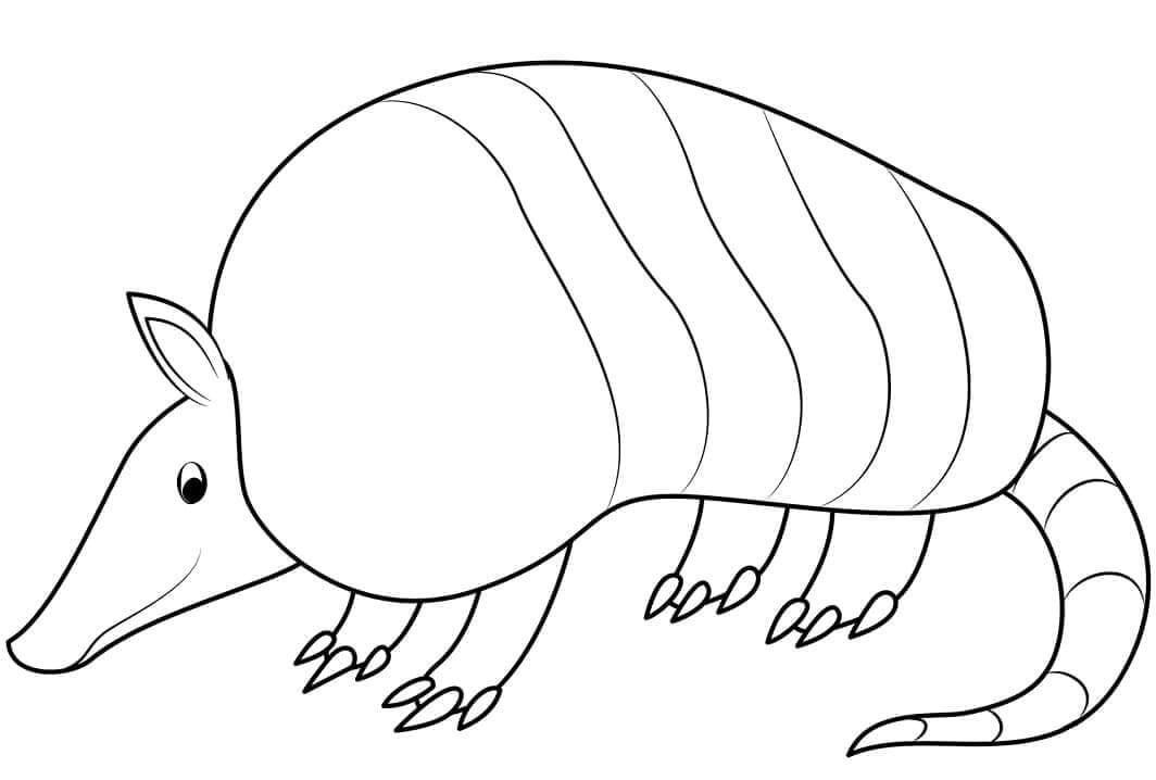 dibujo armadillo 2 para colorear