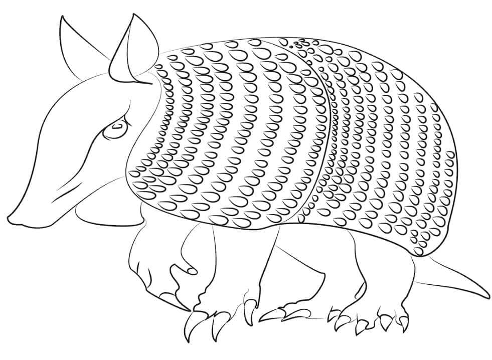 dibujo armadillo abstracto para colorear