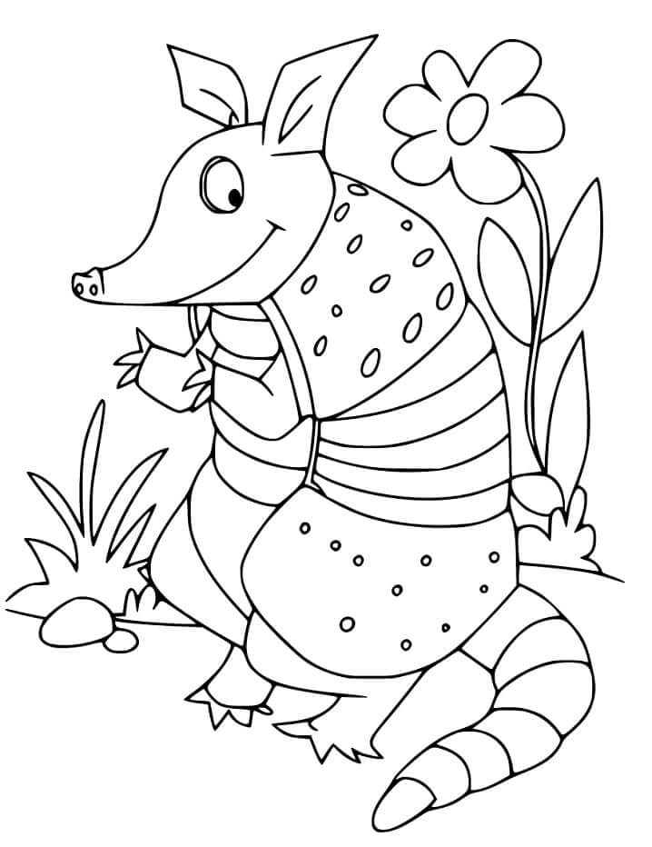 dibujo armadillo basico para colorear