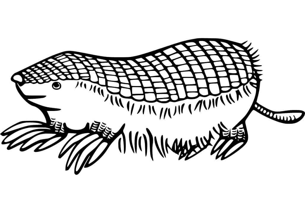 dibujo armadillo con montana para colorear